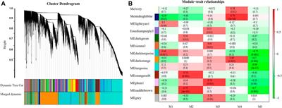 Integrative Analyses of Biochemical Properties and Transcriptome Reveal the Dynamic Changes in Leaf Senescence of Tobacco (Nicotiana tabacum L.)